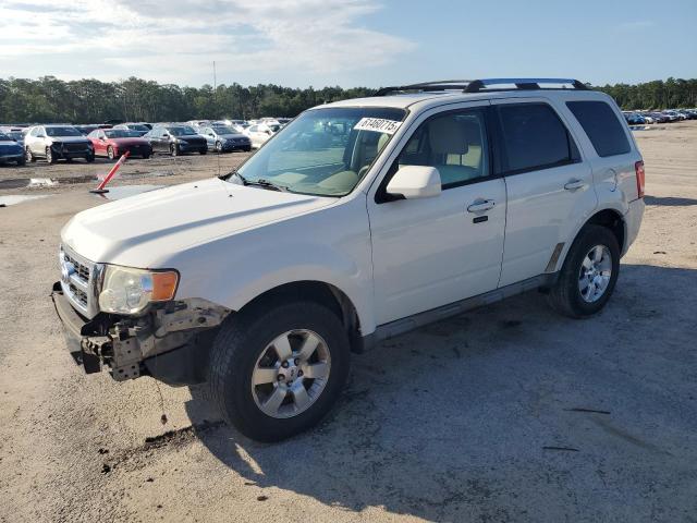 Vin: 1fmcu0eg9bkc16102, lot: 61460715, ford escape limited 2011 img_1