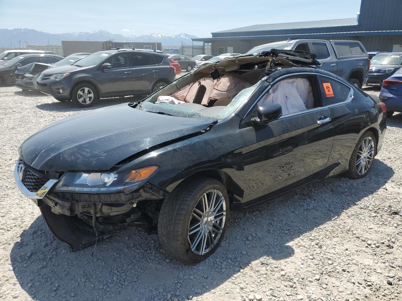 HONDA ACCORD EXL