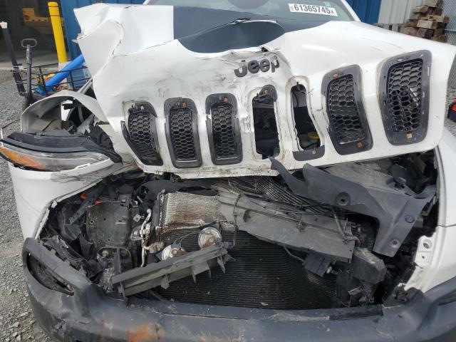 2016 JEEP CHEROKEE T 1C4PJMBS6GW223166