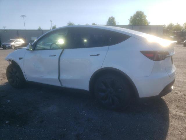 2024 TESLA MODEL Y 7SAYGDEE1RA319402