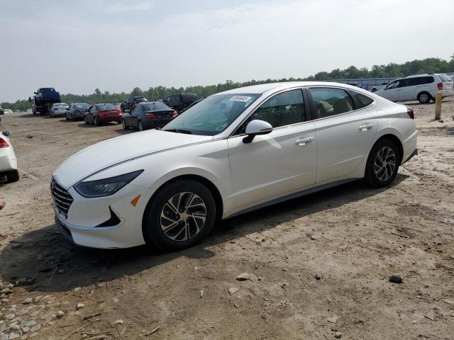 Vin: kmhl24jj2ma031462, lot: 60865645, hyundai sonata hybrid 2021 img_1