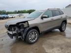 2019 JEEP CHEROKEE L - 1C4PJMLN0KD384738