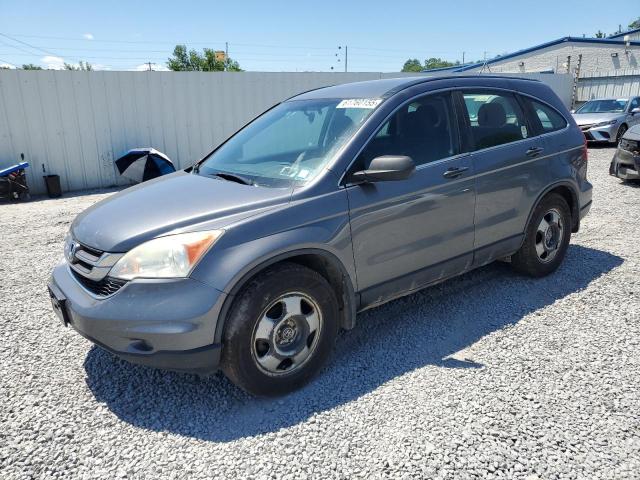 Vin: 5j6re4h30al073636, lot: 61760155, honda crv lx 2010 img_1