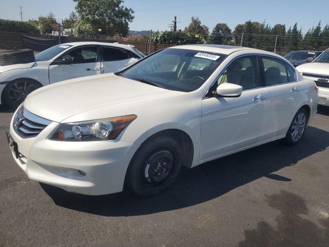 Vin: 5kbcp3f87bb004706, lot: 60448355, honda accord exl 2011 img_1