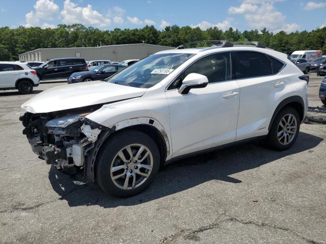 LEXUS NX 300H