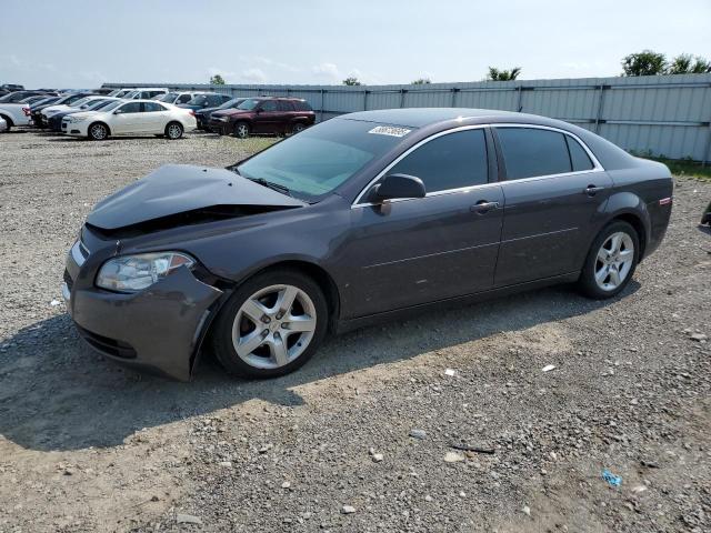 Vin: 1g1zb5e12bf275698, lot: 58673695, chevrolet malibu ls 2011 img_1