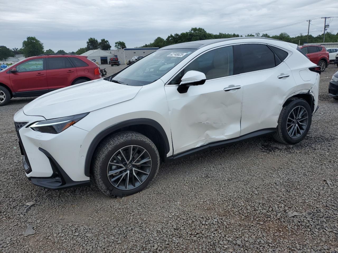LEXUS NX 350H BASE
