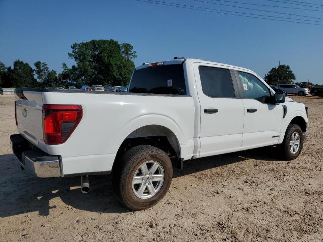 Vin: 1ftfw1fd0rfb99800, lot: 53274405, ford f150 xl 20243