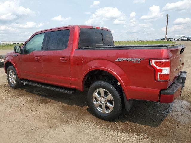 Vin: 1ftew1ep7kke86751, lot: 59495025, ford f-150 supercrew 20192