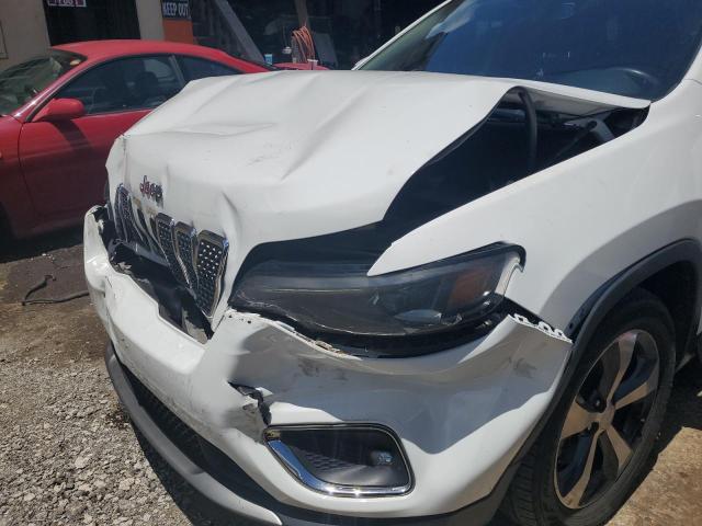2019 JEEP CHEROKEE L - 1C4PJLDB1KD416143
