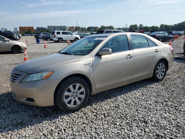 TOYOTA CAMRY HYBR
