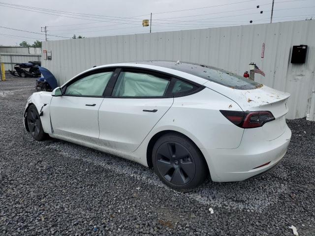 Vin: 5yj3e1ea8pf588554, lot: 59923815, tesla model 3 20232