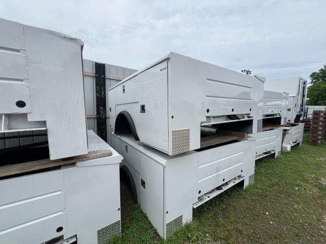RXNT CLASSIC II 2024 white   60568325 photo #1