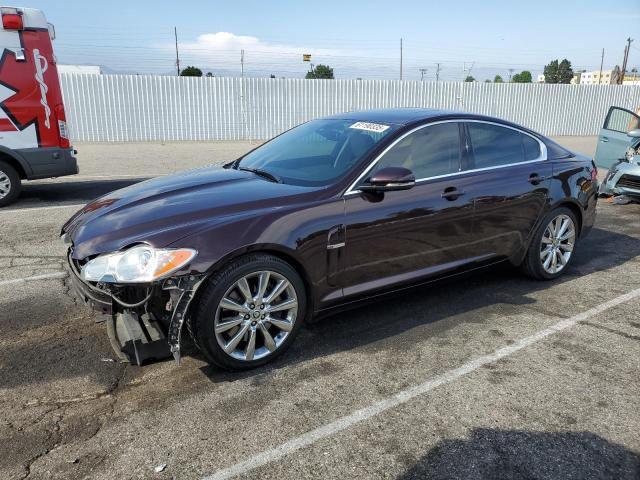 Vin: sajwa0gb1bls08325, lot: 61190335, jaguar xf premium 2011 img_1