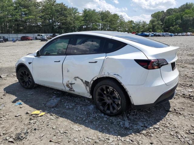 2022 TESLA MODEL Y 7SAYGDEE8NA013467