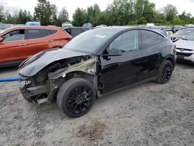 2023 TESLA MODEL Y - 7SAYGDEE7PF803428