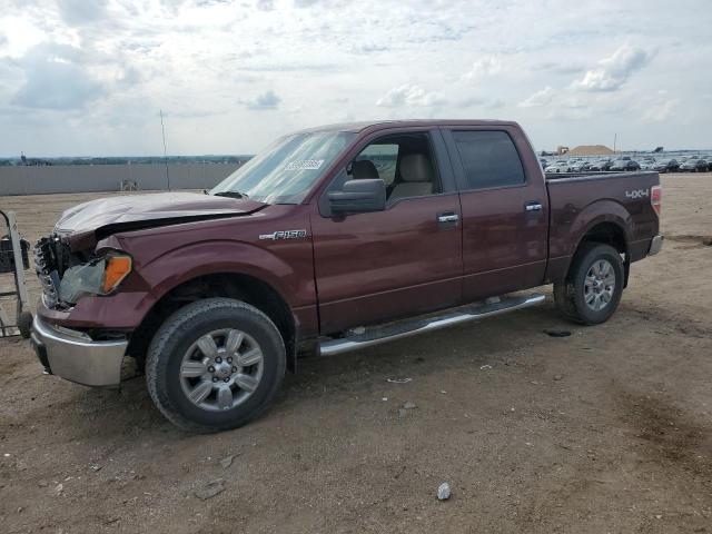Vin: 1ftew1e88afa28250, lot: 59982385, ford f-150 supercrew 2010 img_1
