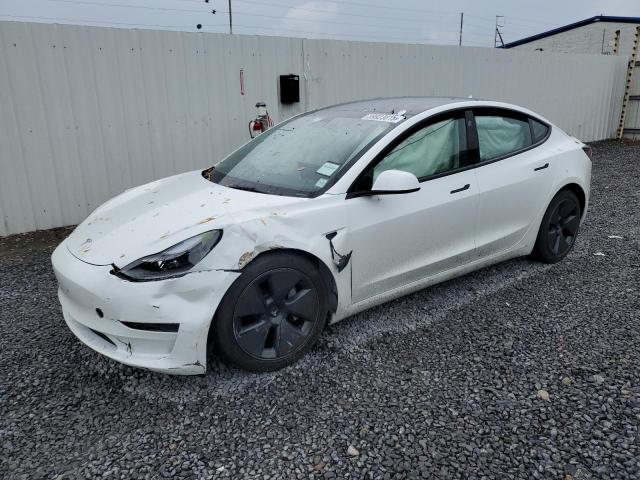 Vin: 5yj3e1ea8pf588554, lot: 59923815, tesla model 3 2023 img_1