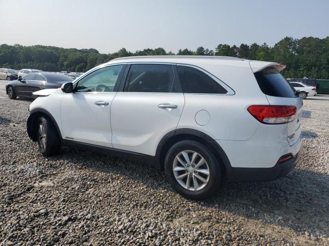 Vin: 5xypgda50gg178457, lot: 59005365, kia sorento lx 20162
