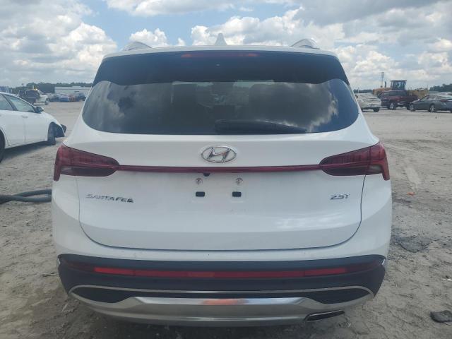 2023 HYUNDAI SANTA FE L 5NMS44AL1PH516147