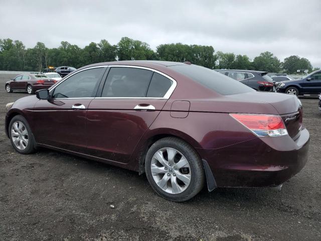 Vin: 5kbcp3f84ab011160, lot: 60649335, honda accord exl 20102