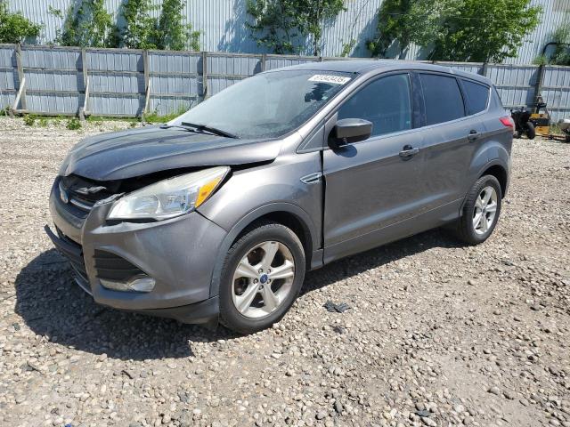 Vin: 1fmcu9gx8eub84916, lot: 61343435, ford escape se 2014 img_1