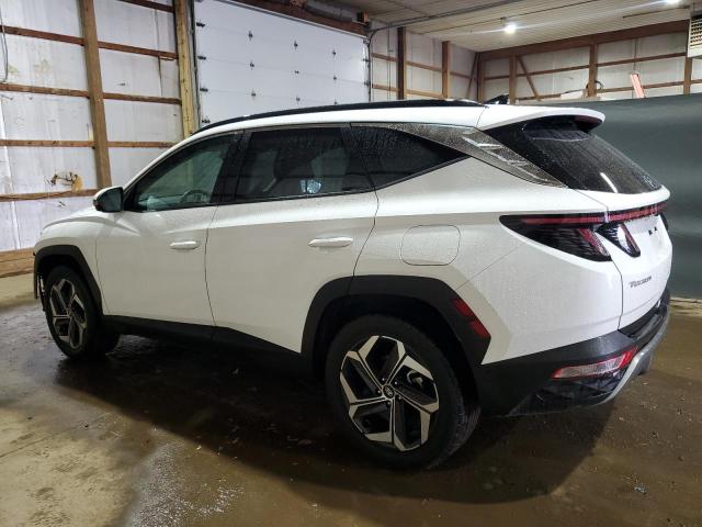 Vin: 5nmjecde7rh345374, lot: 60270125, hyundai tucson limited 20242