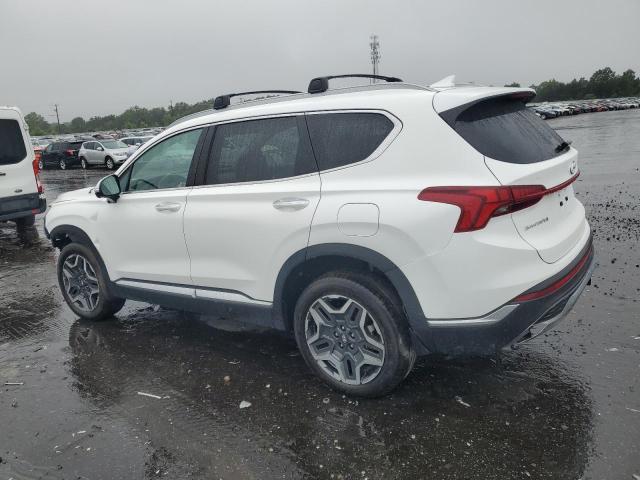Vin: km8s5da19nu018579, lot: 61041695, hyundai santa fe limited 20222
