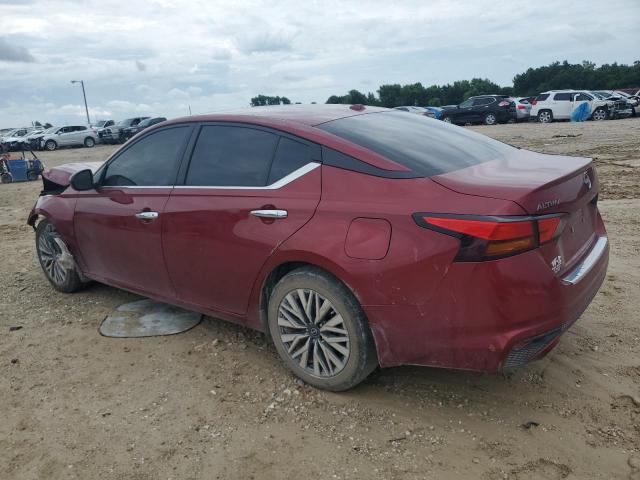 2023 NISSAN ALTIMA SV 1N4BL4DV2PN305953