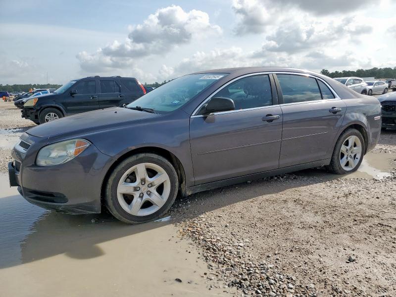 CHEVROLET MALIBU LS