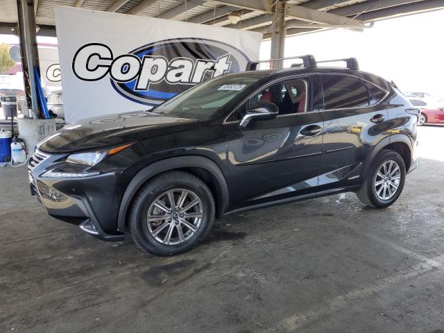 LEXUS NX 300H
