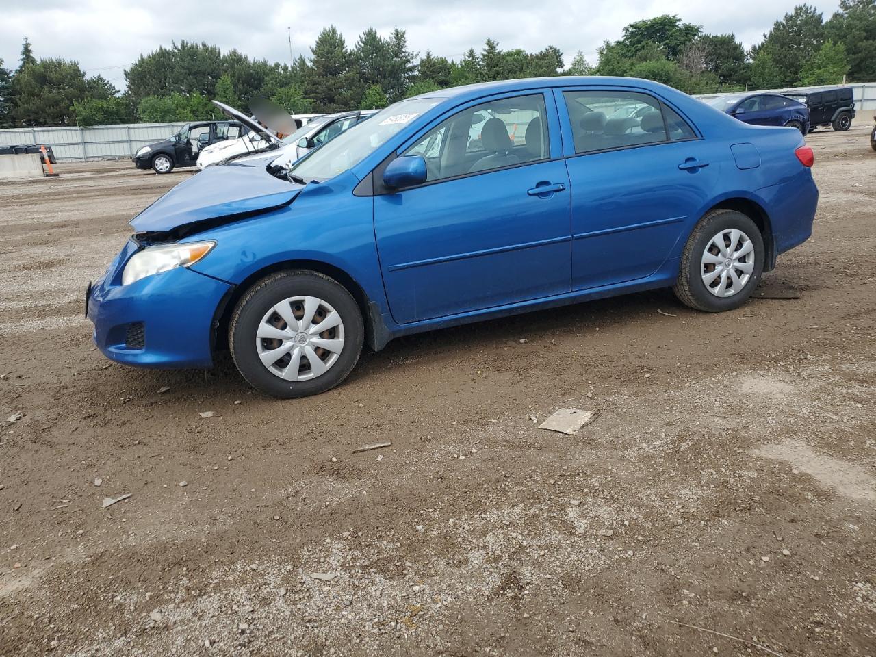 TOYOTA COROLLA BASE