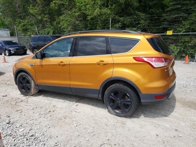 Vin: 1fmcu0gxxgub32931, lot: 60087195, ford escape se 20162