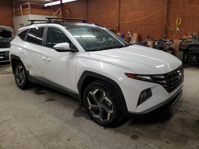 Vin: km8jfca17pu099331, lot: 62613725, hyundai tucson sel convenience 20234