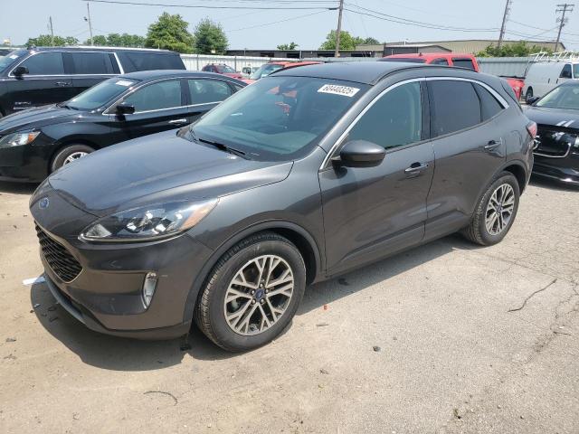 FORD ESCAPE SEL