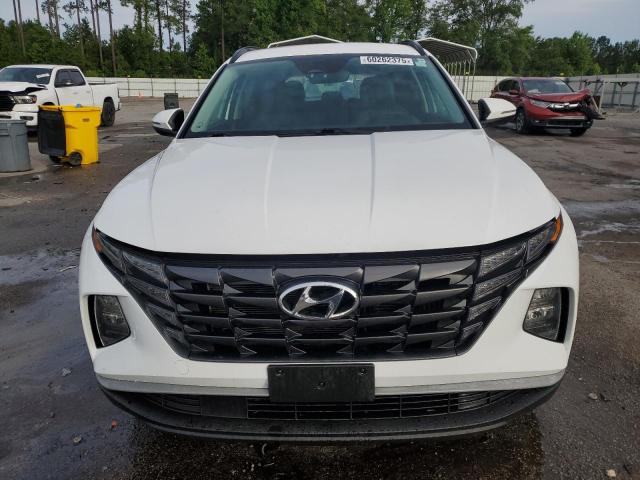 2022 HYUNDAI TUCSON BLU KM8JBCA19NU031329