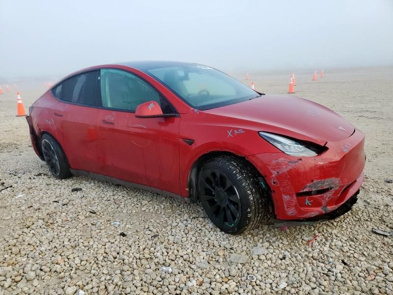 2021 TESLA MODEL Y 5YJYGDED5MF118330