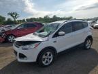 2015 FORD ESCAPE SE - 1FMCU9G91FUC33487