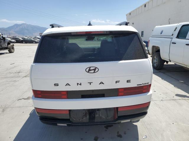 2024 HYUNDAI SANTA FE C 5NMP5DG16RH012429