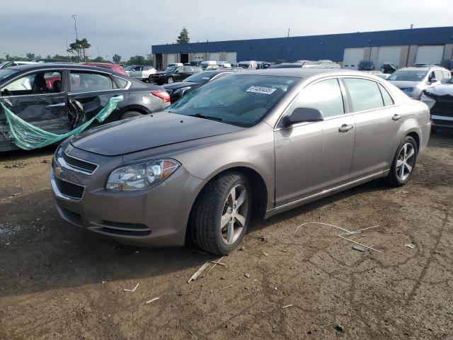 Vin: 1g1zc5e10bf230630, lot: 61450435, chevrolet malibu 1lt 2011 img_1