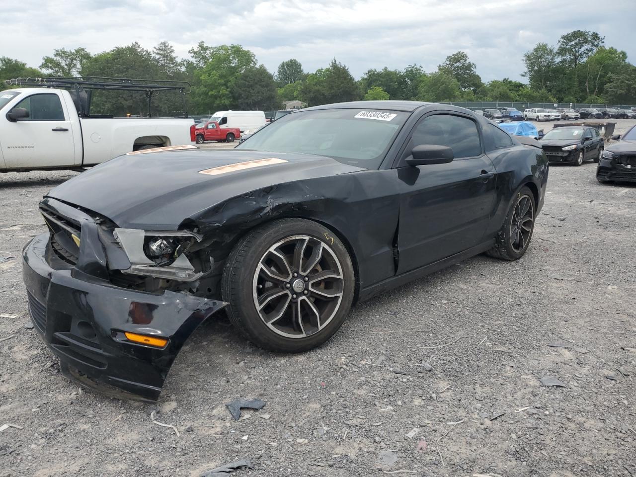 FORD MUSTANG
