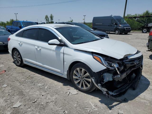 Vin: 5npe34afxgh431501, lot: 59038825, hyundai sonata sport 20164