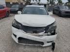Lot #3293410071 2013 HONDA ACCORD EX
