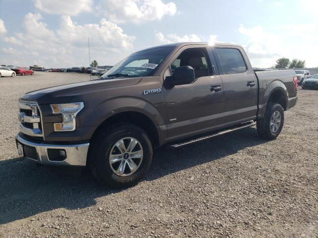 Vin: 1ftew1ep5gkd41943, lot: 62698885, ford f-150 supercrew 2016 img_1