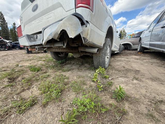 Vin: 1ftew1e48kfb70600, lot: 59149665, ford f-150 supercrew 20192