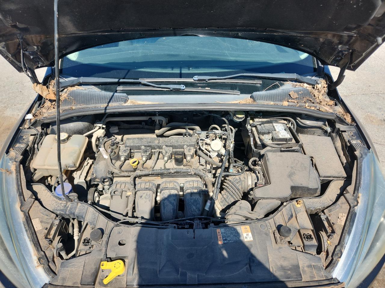 Lot #3210764962 2016 FORD FOCUS SE