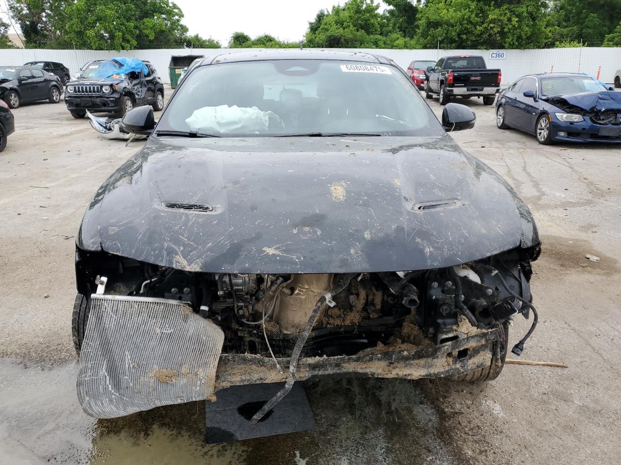 DODGE HORNET GT PLUS