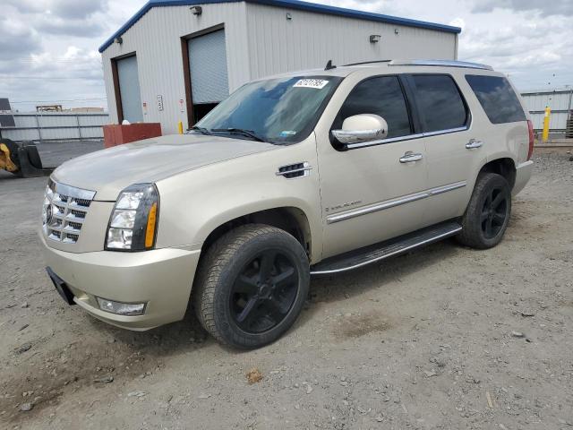CADILLAC ESCALADE L 2007 beige 4dr spor gas 1GYFK63807R282990 photo #1