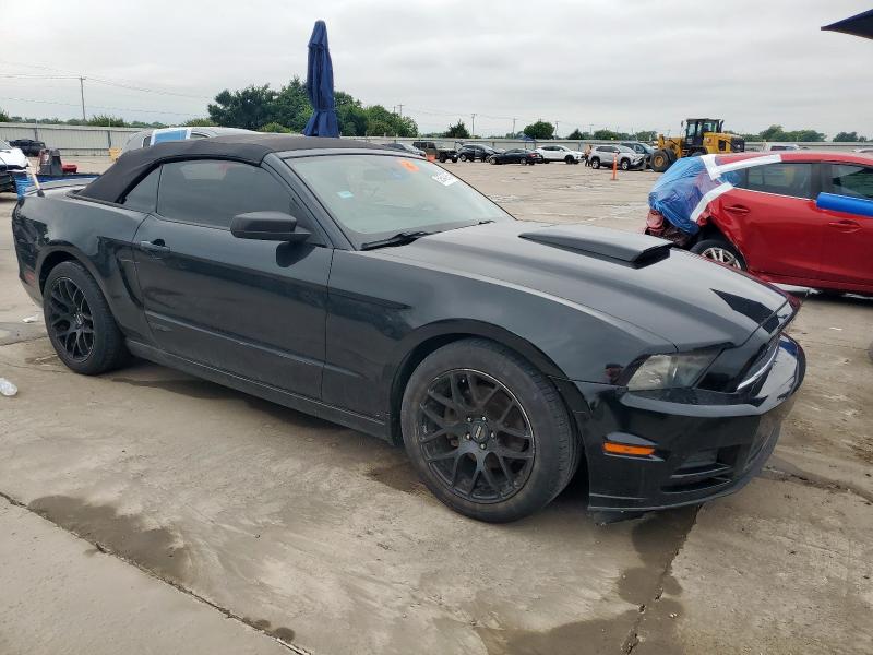 2013 FORD MUSTANG - 1ZVBP8EM7D5217243