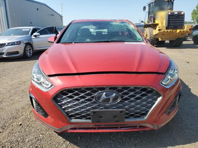2019 HYUNDAI SONATA LIM 5NPE34AF5KH812813